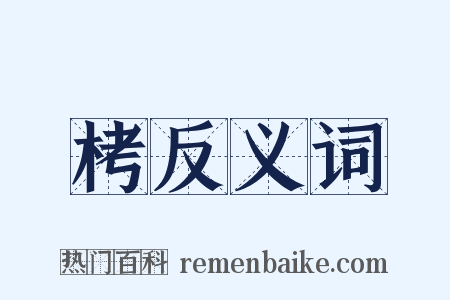 栲反义词是什么意思的图片